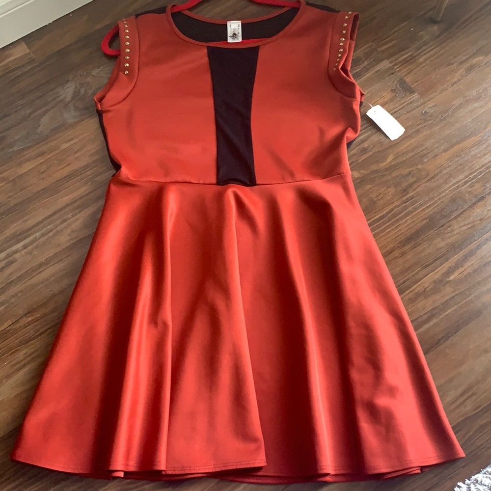 Unworn Eien Rust Skater Dress Size 1X